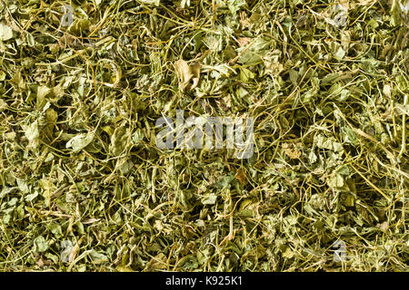 Kasuri Methi or dried fenugreek leaves (Trigonella Foenum Graecum) Stock Photo