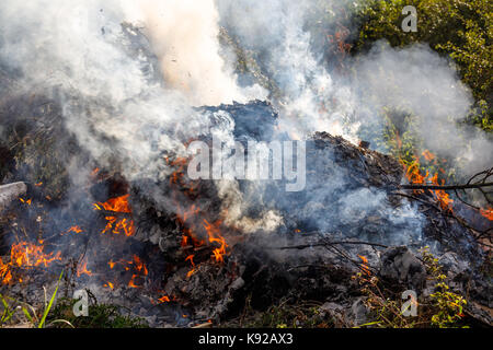 Startup  fire gaining momentum.  Business metaphor for product that is trying to get a hold in the market an introductory stage and growth Stock Photo