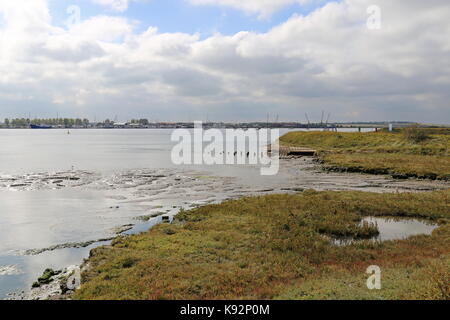 View across River Crouch estuary to Wallasea Island, Burnham-on-Crouch, Maldon, Essex, England, Great Britain, United Kingdom, UK, Europe Stock Photo