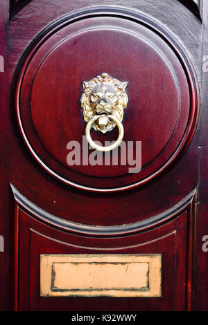 Classic lion's head knocker on a wooden door Stock Photo