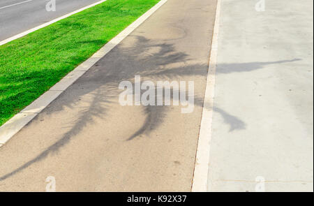 Shadow from a palm tree on the sidewalk. Stock Photo
