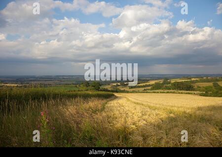 Farmland at Lark Stoke, Gloucestershire, Cotswolds, England. Stock Photo