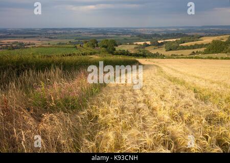 Farmland at Lark Stoke, Gloucestershire, Cotswolds, England. Stock Photo