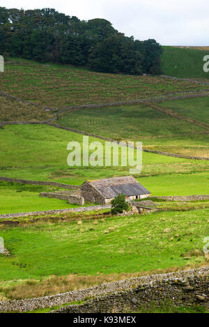 Typical Yorkshire Dales Farmland and Stone Barn with Limestone Drystone Walls Marking Fields Above Gayle near Hawes Yorkshire England United Kingdom Stock Photo