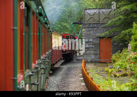 Narrow gauge steam locomotive David Lloyd George of the Ffestiniog Railway Company at Tan y Bwlch station Stock Photo