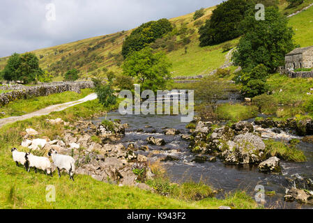 The River Wharfe near Outershaw Yorkshire Dales National Park England United Kingdom UK Stock Photo