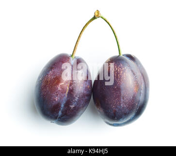 Fresh blue plums isolated on white background. Stock Photo