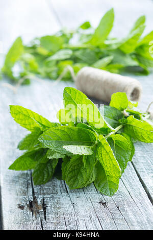 Branch mint leaves on old wooden table. Stock Photo