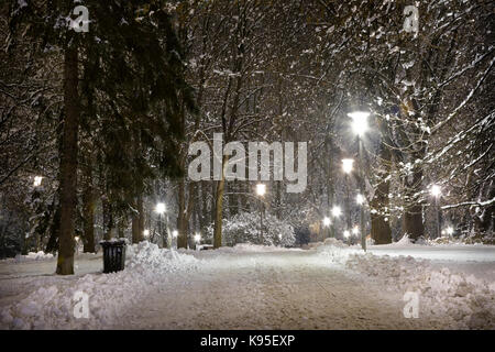 Park snow-covered alley with lanterns at night. Winter night in a snow-covered park. Stock Photo