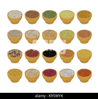 Groats in wooden bowl set. Rice and lentils. Red beans and peas. Corn and barley gritz. Millet and cuscus. Oat and buckwheat. Bulgur and wheat. Grain  Stock Vector