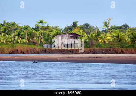 Costa Rican house on stilts stands besides river with palm trees and rainforest in background. Stock Photo