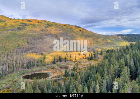 aspen trees in fall colors at Kenosha Pass in Colorado, aerial view Stock Photo