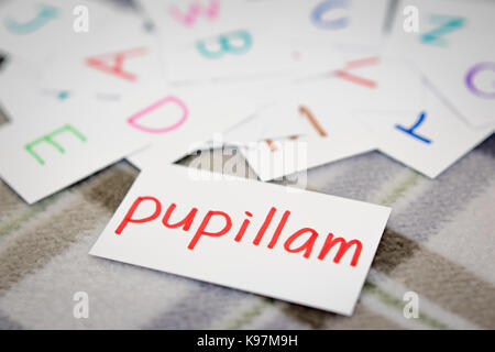Latin; Learning the New Word with the Alphabet Cards (Translation; Apple) Stock Photo