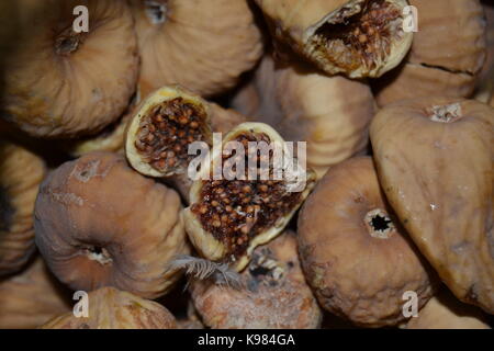Dried Fig Stock Photo