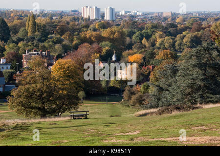 An Autumn view from Richmond Park toward Kingston. A grass slope leads to colorful trees extending into the distance, with tall buildings beyond. Stock Photo