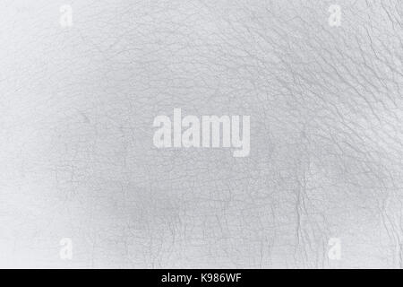 old scratched leather background Stock Photo