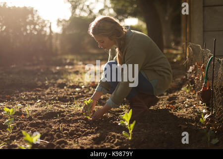 Side view of young woman planting saplings at farm Stock Photo