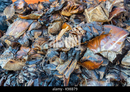 Closeup of pieces of burnt agave used in the production of mezcal in Oaxaca, Mexico Stock Photo