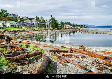 Driftwood logs, Shelter point, Cambell River, Quandra island Stock Photo