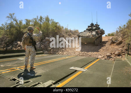 LAV-25 Armored Vehicles Stock Photo