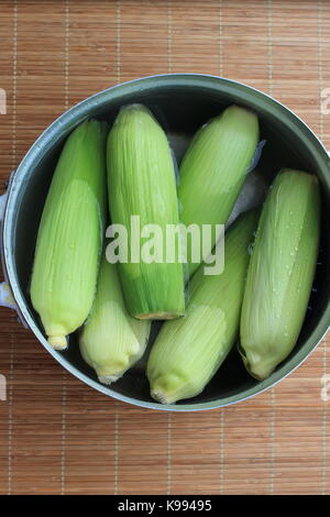 Fresh corn ready to be boiled in a pot Stock Photo