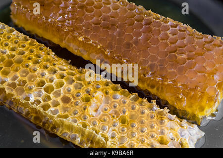 Close view of two pieces of honeycomb Stock Photo