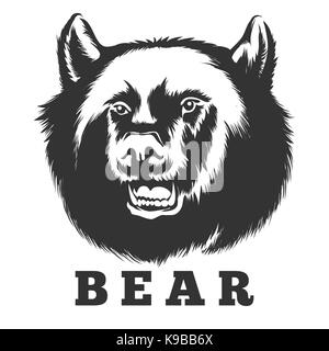 Hand drawn roaring bear. Wild angry bear head vector illustration. Stock Vector