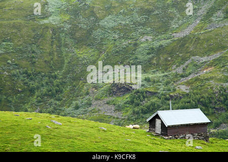 Lonely shepherd house in Norway Stock Photo