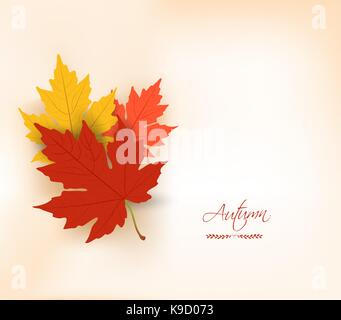 Autumn background with leaves. Back to school Stock Vector