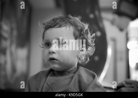 Toddler boy getting a haircut Stock Photo