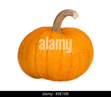 Organic Sugar Pie Pumpkin, an ideal pumpkin for holiday baking and cooking. Isolated on white background. Stock Photo