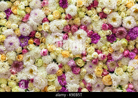 beautiful background of colorful roses and chrysanthemums Stock Photo