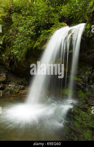 Grotto Falls in the Great Smoky Mountains National Park Stock Photo