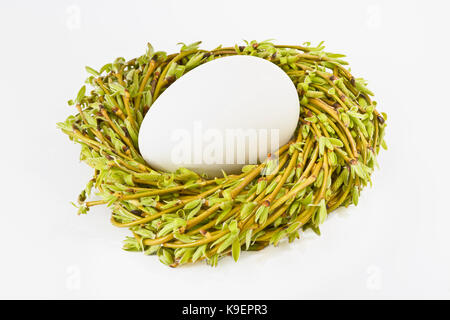 Egg in a nest with twigs and willow catkins on a white background. Easter. Stock Photo