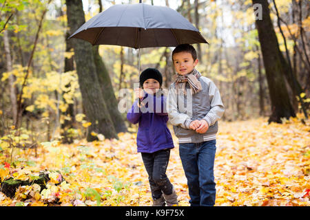 Two children playing in beautiful autumn park on cold sunny fall day. Stock Photo