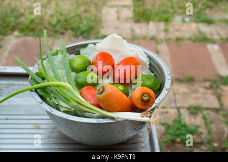 Vegetables (welsh onions, carrots, tomatoes, chinese cabbage) and fruit (lemons), mixed, fresh washed in metal bowl on sink Stock Photo