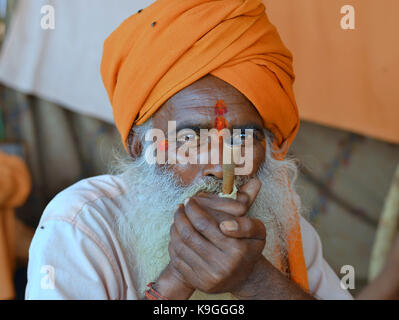 Old sadhu with orange turban, thick white beard and two red tilaka marks on his forehead (one above the other), smoking hashish in a chillum pipe Stock Photo