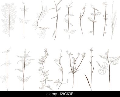 Hand Drawn vintage floral and decor elements Stock Vector