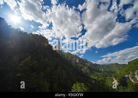 Following the Tarn Gorges Stock Photo - Alamy