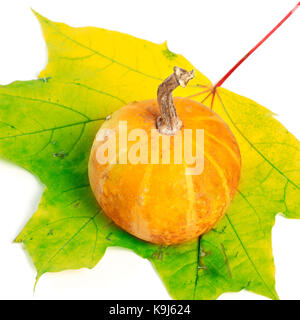 Decorative pumpkin on multicolor maple-leaf isolated on white background Stock Photo