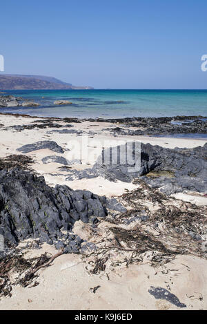 Seaweed (kelp) among rocks on the sandy beach at Balnakeil Bay, Durness, Sutherland, Scottish Highlands, on a beautiful calm sunny day. Scotland, UK. Stock Photo
