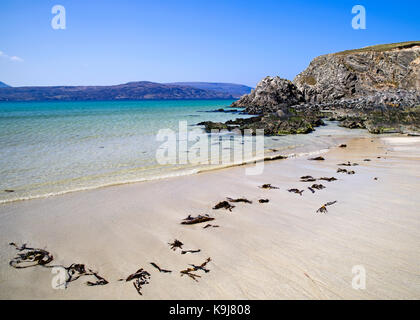 A line of seaweed (kelp) at the water's edge on the sandy beach at Balnakeil Bay, Durness, Sutherland, on a beautiful sunny day, Scottish Highlands UK Stock Photo