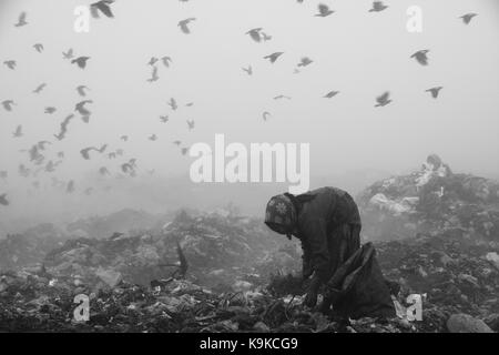 Life in a wasteland of nomadic people who make a living by picking recyclable waste materials such as plastic, broken glasses, papers, etc. Stock Photo