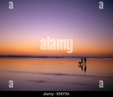 New Zealand. North Island. Auckland Region. Couple walking the dog along Piha Beach at dusk. Stock Photo