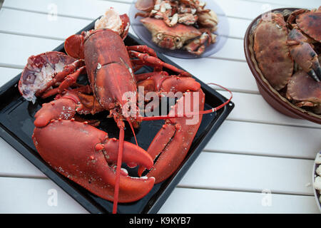 freshly cooked lobster lying on baking tray. outside shot in Norway. copy space. Stock Photo