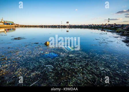 Three Shells Lagoon, Southend on Sea seafront, Western Esplanade, Essex. Stagnant seawater pool and rubbish. Stagnating Stock Photo