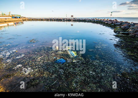 Three Shells Lagoon, Southend on Sea seafront, Western Esplanade, Essex. Stagnant seawater pool and rubbish. Stagnating Stock Photo