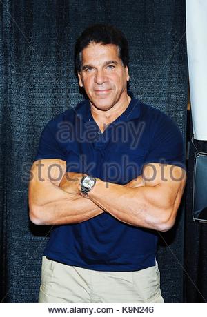 THE INCREDIBLE HULK (TV) LOU FERRIGNO IHLK 025 Stock Photo, Royalty ...