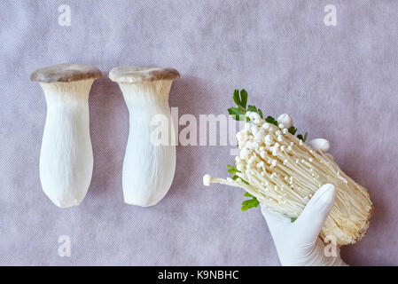 King trumpet mushroom, called also French horn mushroom (Pleurotus eryngii) and enokitake or enoki (Flammulina velutipes). Stock Photo