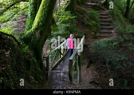 Female walker in red standing on a wooden bridge River Lyd Lydford Gorge Lydford Devon England Stock Photo